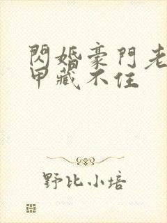 闪婚豪门老公马甲藏不住