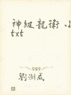 神级龙卫 小说txt