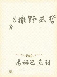 《撒野巫哲小说》