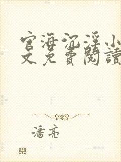 官海沉浮小说全文免费阅读