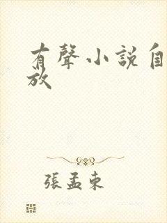 有声小说自动播放