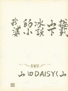 我的冰山总裁老婆小说下载