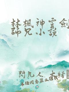 林枫神霄剑宗大师兄小说