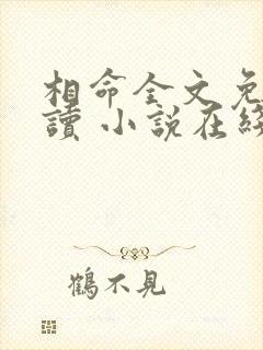 相命全文免费阅读 小说在线阅读