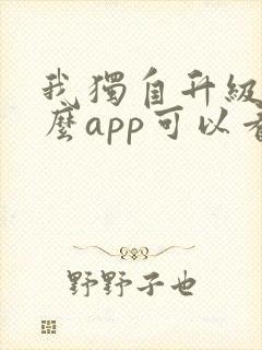 我独自升级在什么app可以看