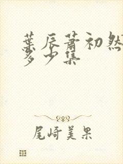 叶辰萧初然总共多少集