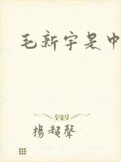 毛新宇是中将吗