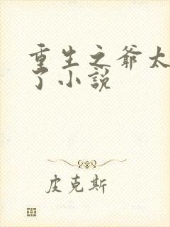 重生之爷太重口了小说