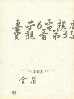 妻子6电视剧免费观看第3集