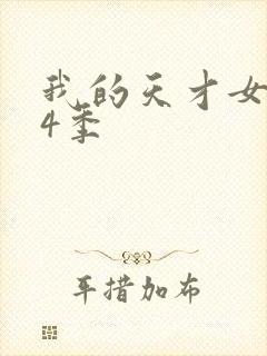 我的天才女友第4季