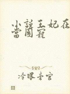 小说王妃在京城当团宠