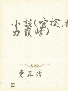 小说(官途.权力巅峰)