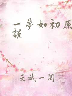 一梦如初原著小说