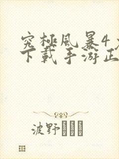 究极风暴4免费下载手游正版