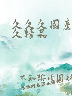 久久久国产久久久精品