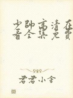 少帅高清在线观看全集免费