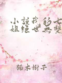 小说我的七个姐姐绝世无双