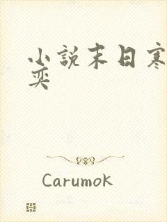 小说末日寒冰张奕