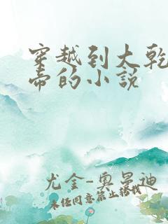 穿越到大乾当皇帝的小说