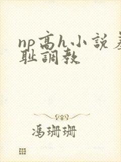np高h小说羞耻调教