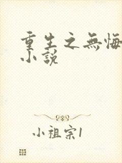 重生之无悔人生小说
