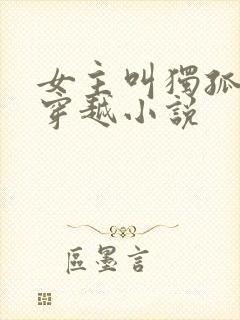 女主叫独孤月的穿越小说