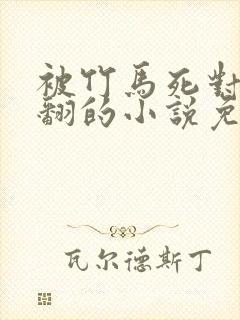 被竹马死对头吵翻的小说免费阅读