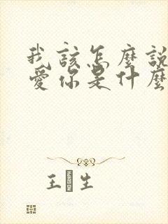 我该怎么说我不爱你是什么歌