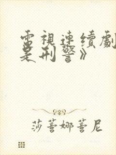 电视连续剧《我是刑警》