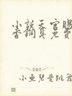 小说天官赐福墨香铜臭免费阅读