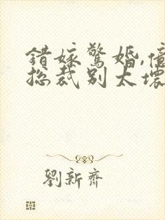 错嫁惊婚,亿万总裁别太坏