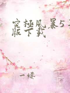 究极风暴5手机版下载