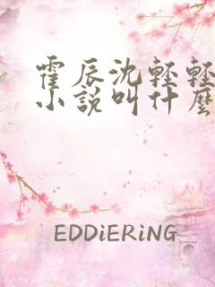 霍辰沈轻轻许安小说叫什么名字