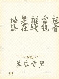 他是谁电视剧全集在线观看免费