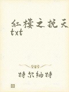 红楼之挽天倾.txt