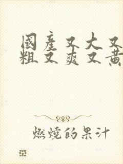 国产又大又硬又粗又爽又黄的视频