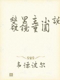 双男主小说推荐破镜重圆