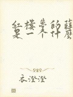 红楼梦的薛宝钗是一个什么样的人