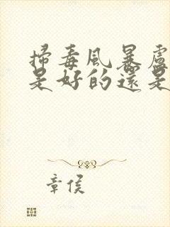 扫毒风暴卢少骅是好的还是坏的