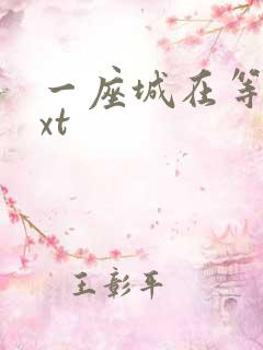 一座城在等你txt