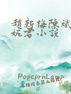 赵新梅陈斌,高婉君小说