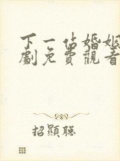 下一站婚姻电视剧免费观看完整版