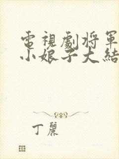 电视剧将军家的小娘子大结局