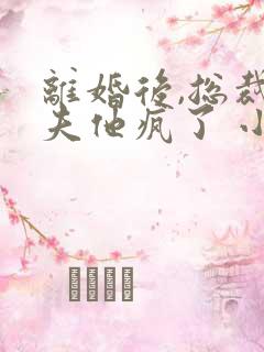 离婚后,总裁前夫他疯了 小说