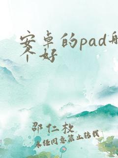 安卓的pad哪个好