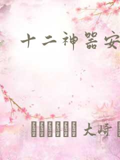 十二神器安卓