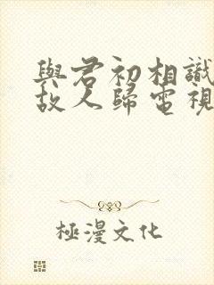 与君初相识恰似故人归电视剧免费