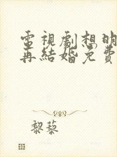 电视剧想明白了再结婚免费观看