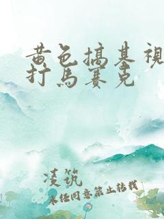 黄色搞基视频不打马赛克