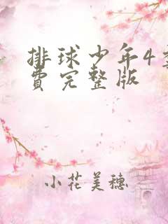 排球少年4季免费完整版